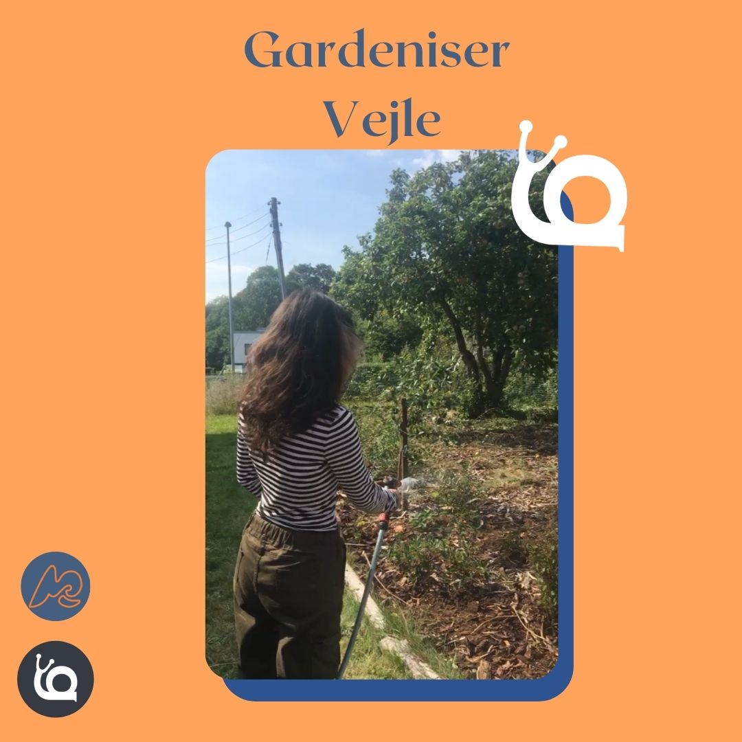Gardeniser in Vejle_ Be like Bengisu!