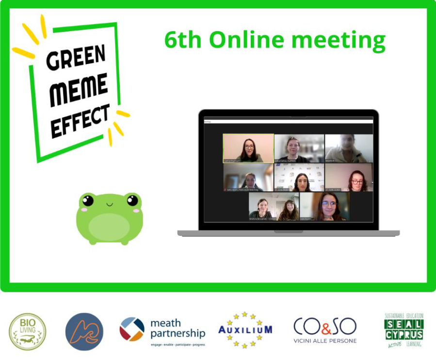 Green Meme Effect – 6th Online Meeting
