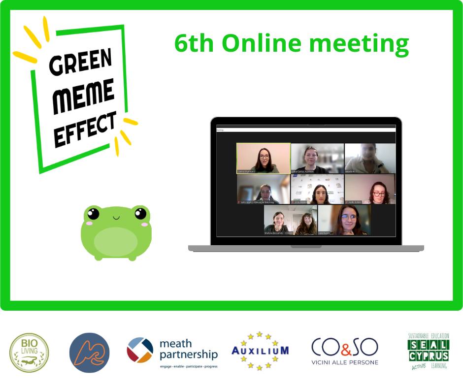 Green Meme project 8th online meeting